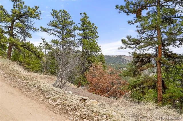 5312 Adahi Road Indian Hills, CO 80454