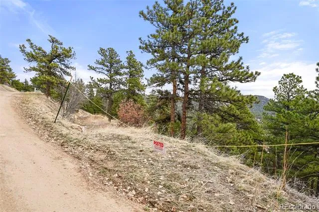 5312 Adahi Road Indian Hills, CO 80454