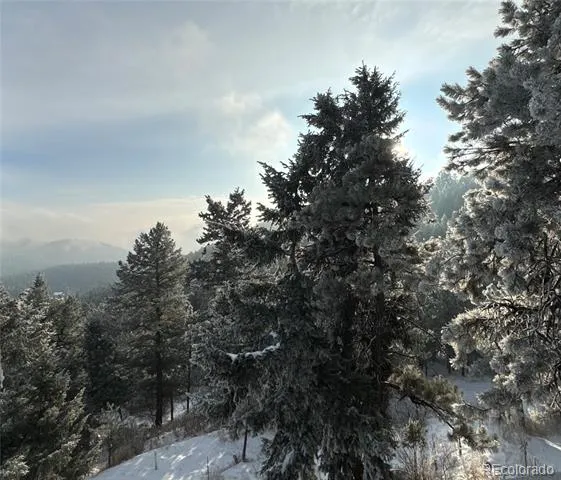 5312 Adahi Road Indian Hills, CO 80454