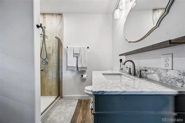1245 Highland Meadows Drive Florissant, CO 80816