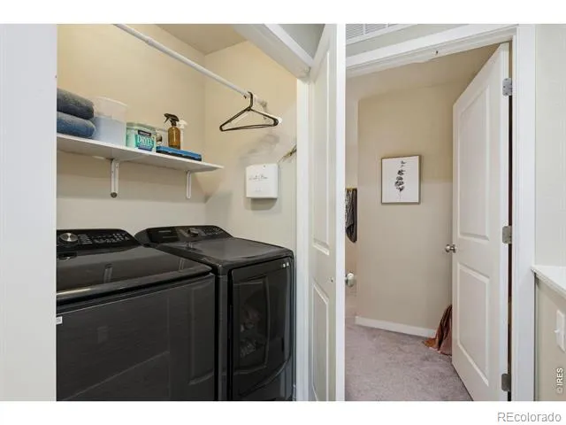 3962 Ginkgo Street Wellington, CO 80549