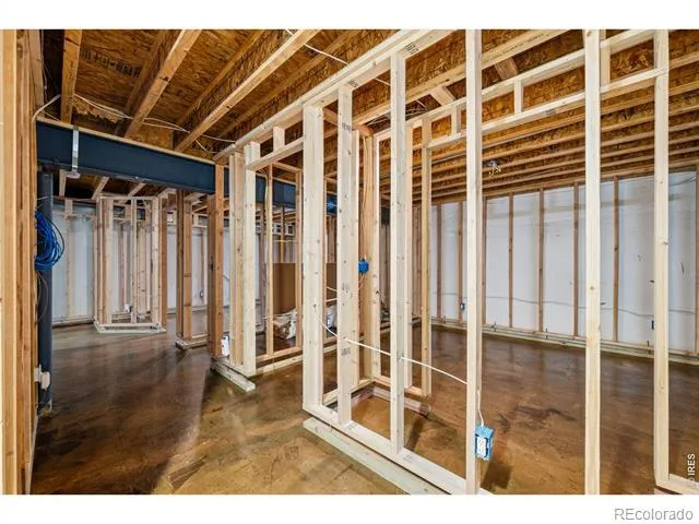 3962 Ginkgo Street Wellington, CO 80549