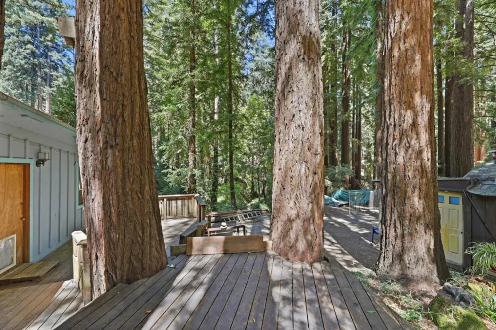 300 Teilh Drive Boulder Creek, CA 95006