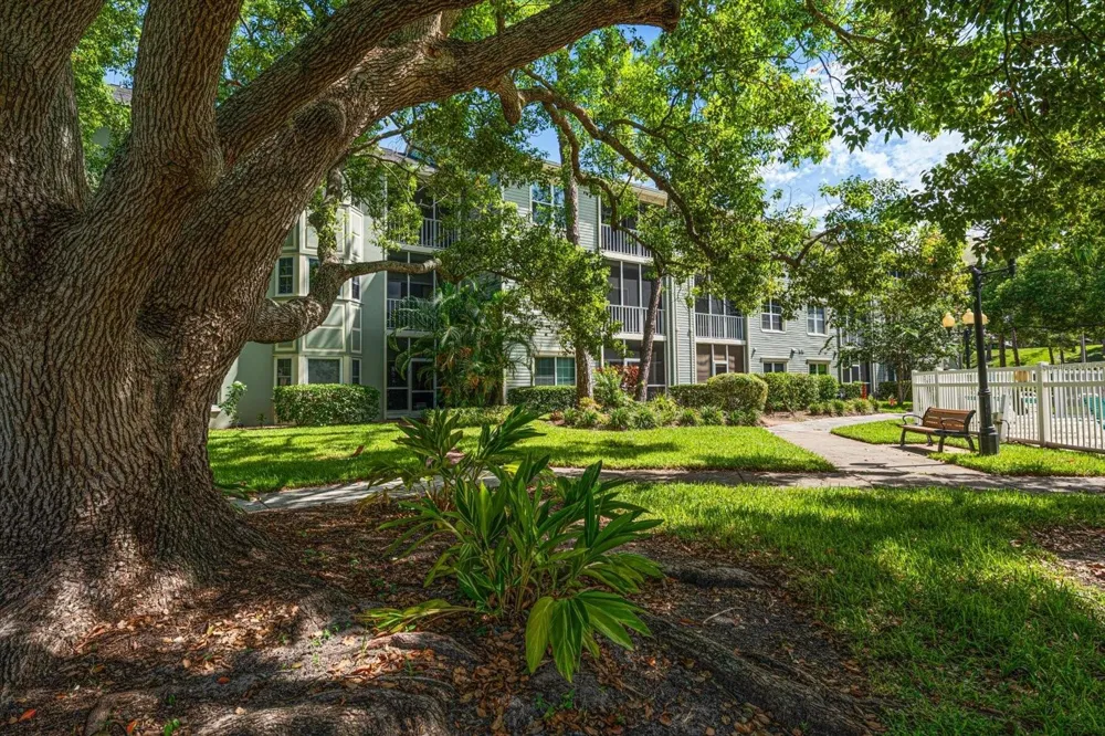 330 PROMENADE DRIVE #206 Dunedin, FL 34698
