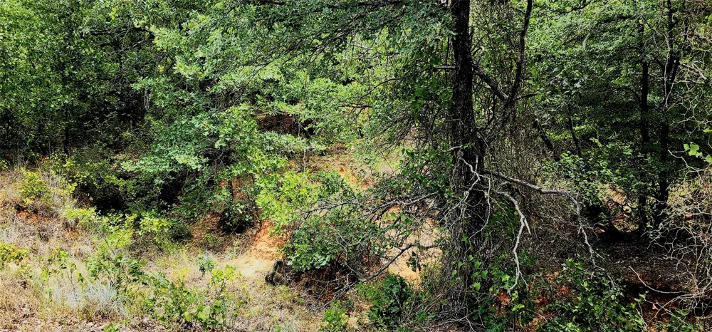 1080 Gonzollas Road Springtown, TX 76082