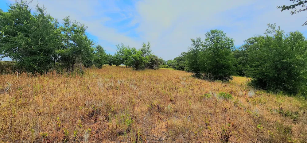 1080 Gonzollas Road Springtown, TX 76082