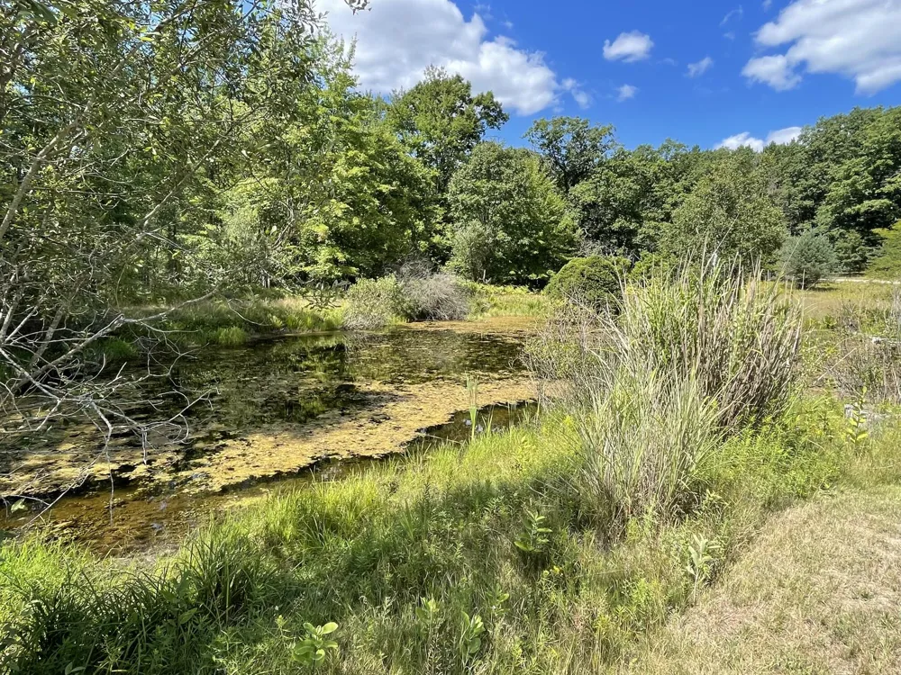 7225 E Sargeo Drive Luther, MI 49656