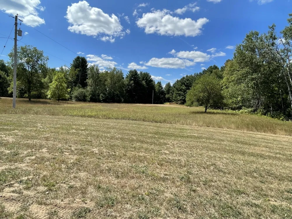 7225 E Sargeo Drive Luther, MI 49656
