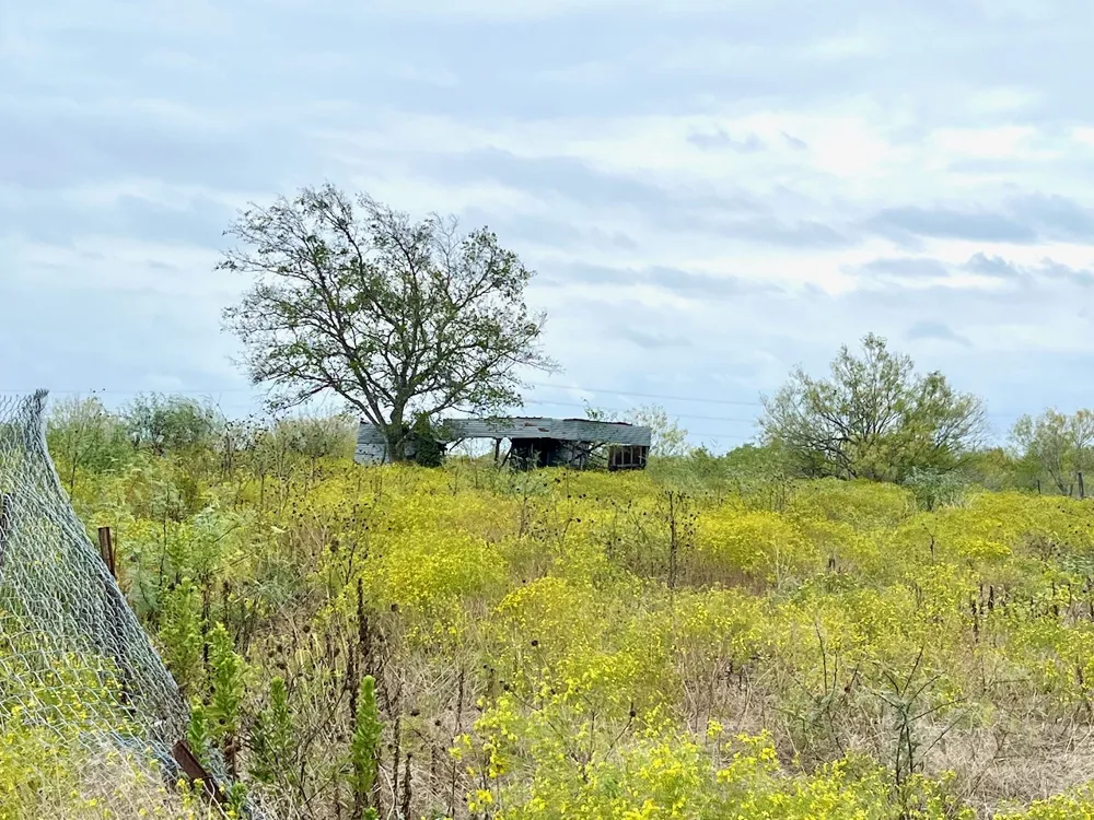 11604 Moore Road Austin, TX 78719