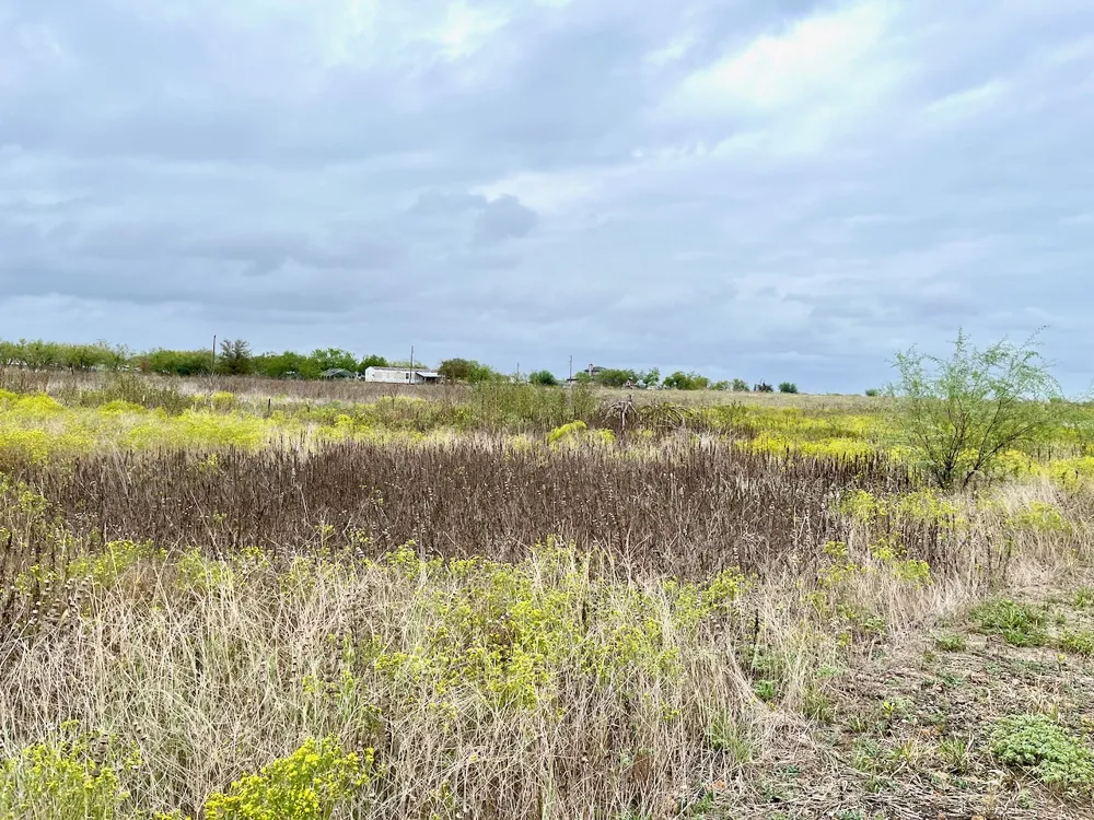 11604 Moore Road Austin, TX 78719