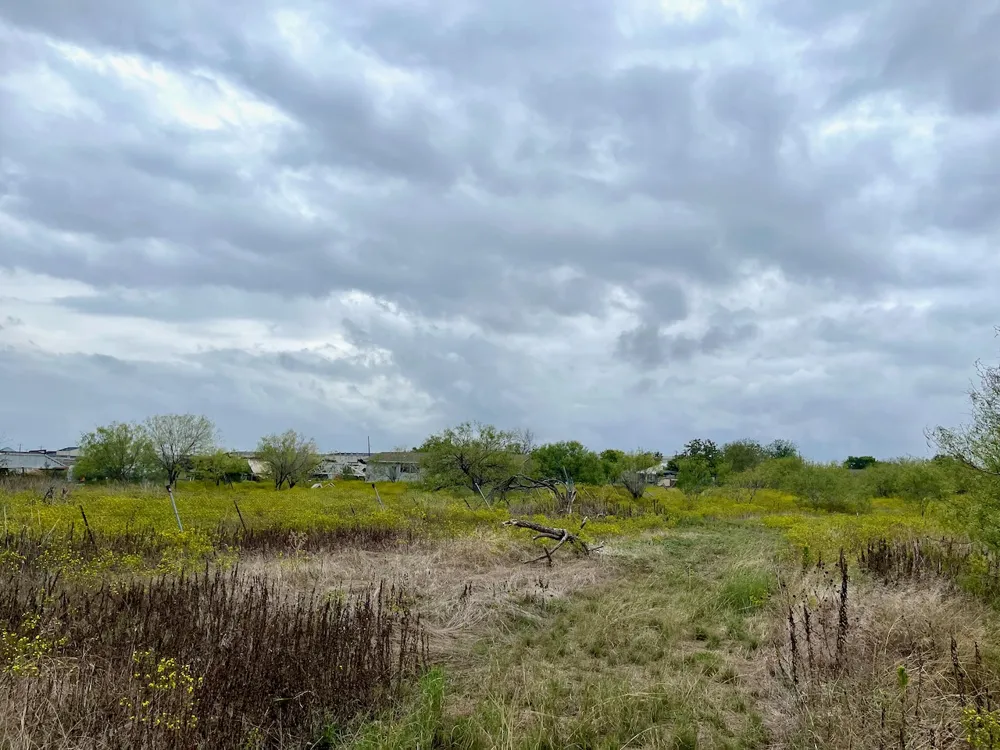 11604 Moore Road Austin, TX 78719