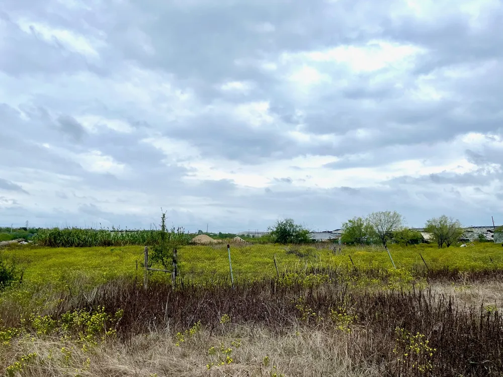11604 Moore Road Austin, TX 78719