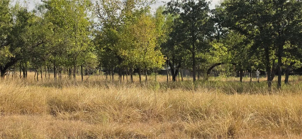 301 County Road 315 Comanche, TX 76442