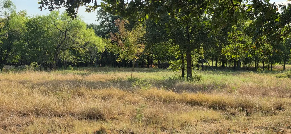 301 County Road 315 Comanche, TX 76442