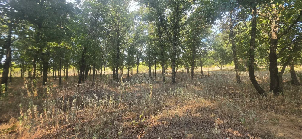 301 County Road 315 Comanche, TX 76442
