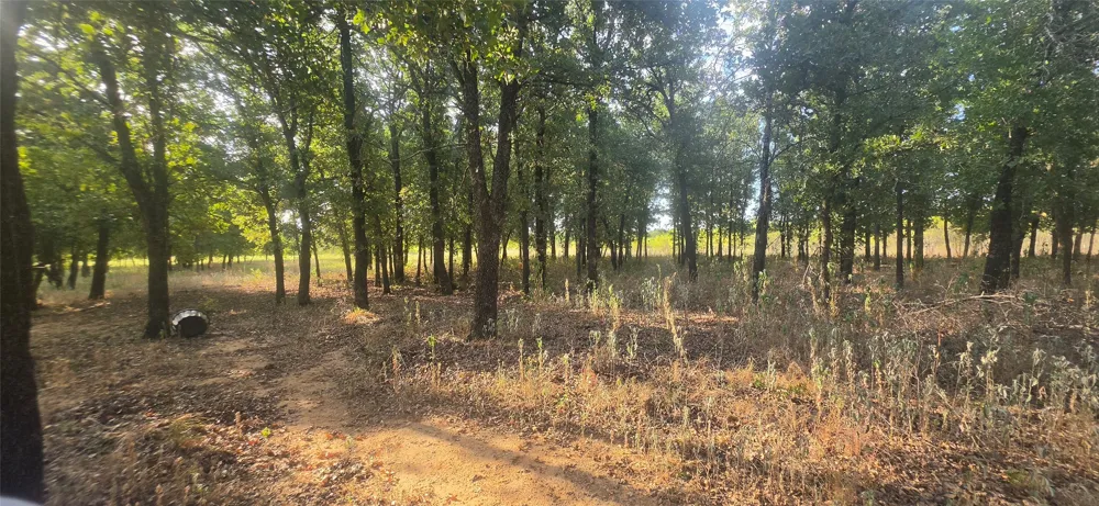 301 County Road 315 Comanche, TX 76442