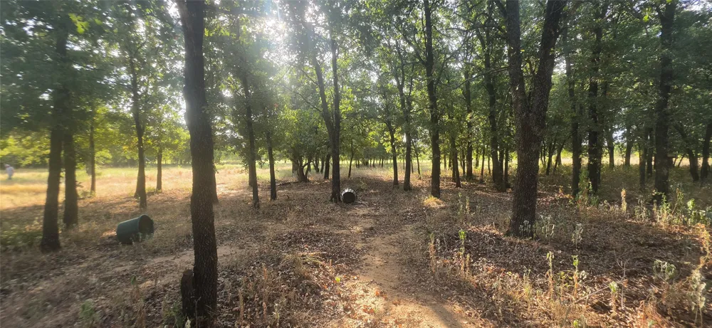 301 County Road 315 Comanche, TX 76442