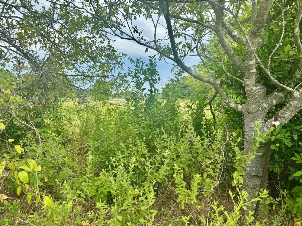 Fm 227 E Grapeland, TX 75844