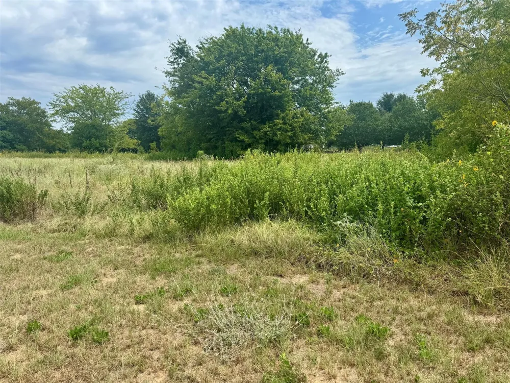 Fm 227 E Grapeland, TX 75844