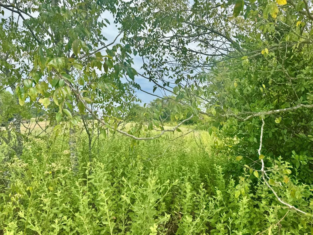 Fm 227 E Grapeland, TX 75844