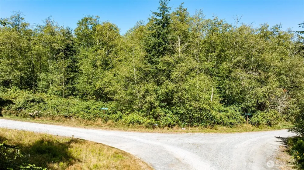 3437 Water View Langley, WA 98260