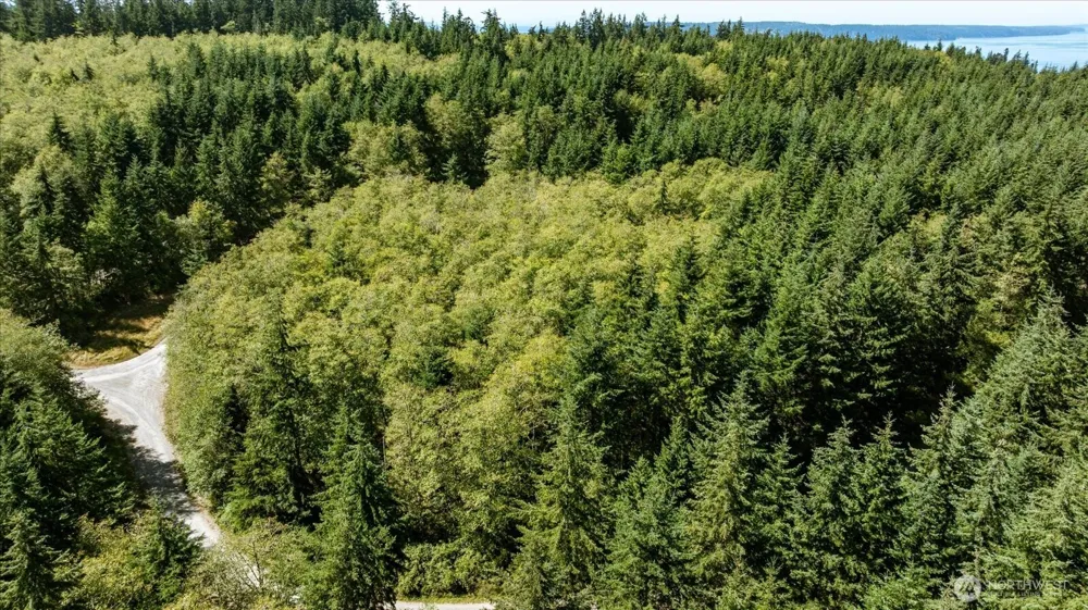 3437 Water View Langley, WA 98260