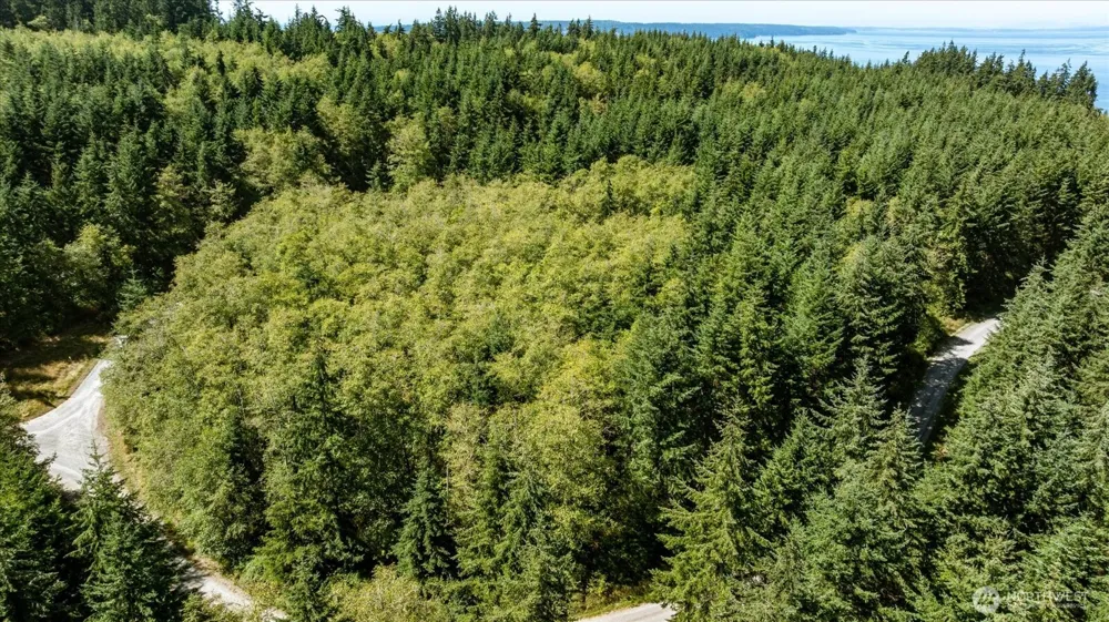 3437 Water View Langley, WA 98260
