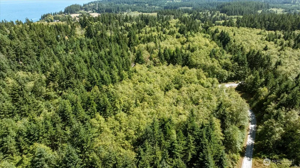 3437 Water View Langley, WA 98260