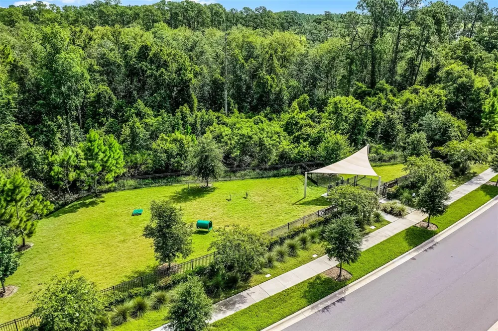 17428 HONEYBELL TANGELO COURT Winter Garden, FL 34787