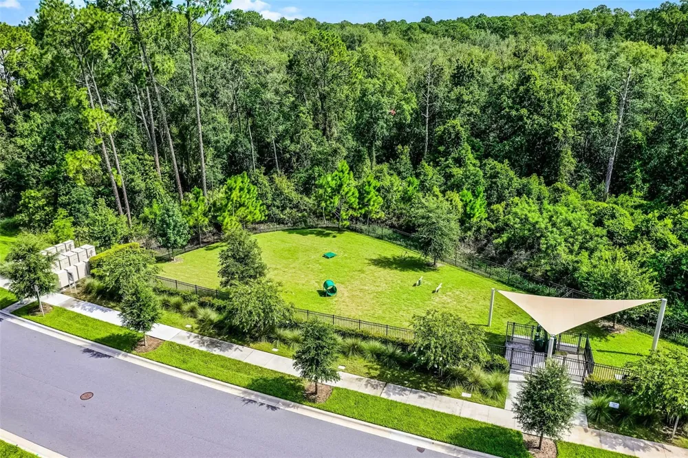 17428 HONEYBELL TANGELO COURT Winter Garden, FL 34787