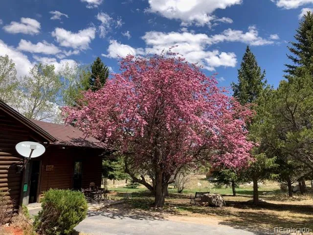 15265 Chimney Rock Road Nathrop, CO 81236