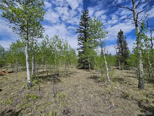 412 Smith And Wesson Road Como, CO 80456