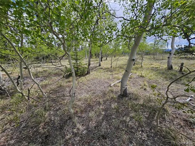 412 Smith And Wesson Road Como, CO 80456