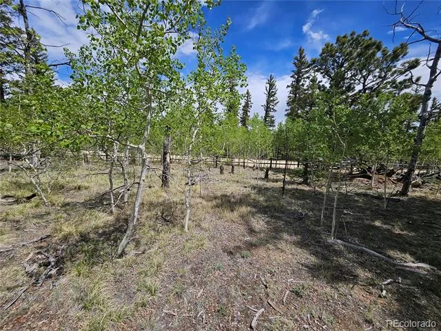 412 Smith And Wesson Road Como, CO 80456