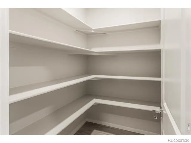 734 Trumpet Court Windsor, CO 80550