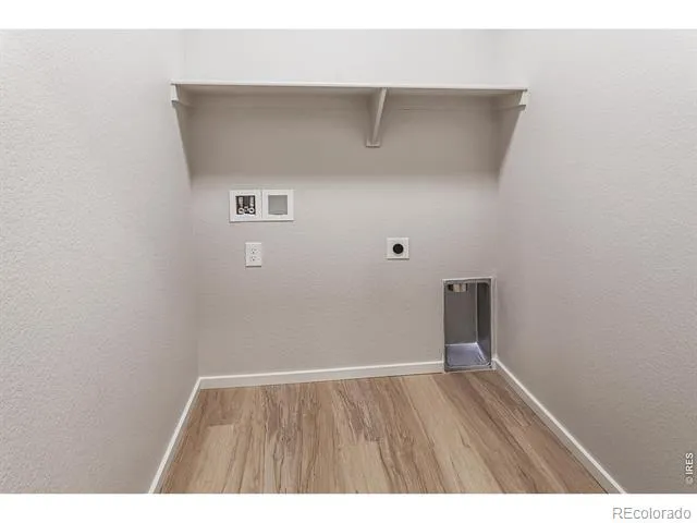 734 Trumpet Court Windsor, CO 80550