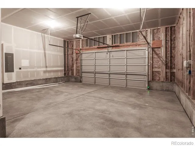 734 Trumpet Court Windsor, CO 80550