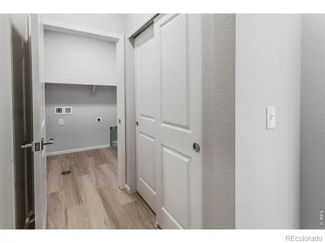 734 Trumpet Court Windsor, CO 80550