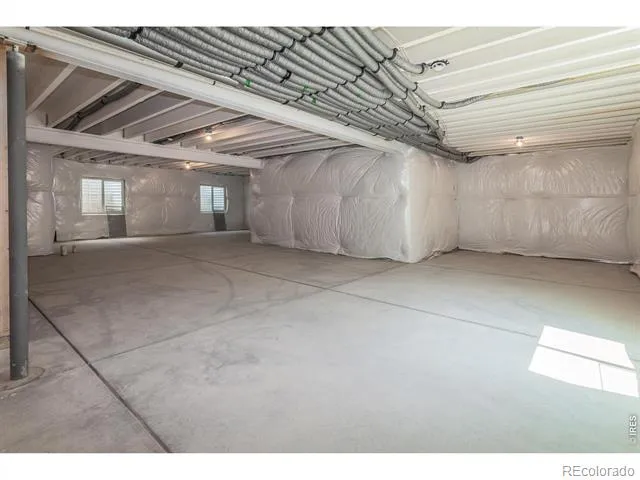 734 Trumpet Court Windsor, CO 80550