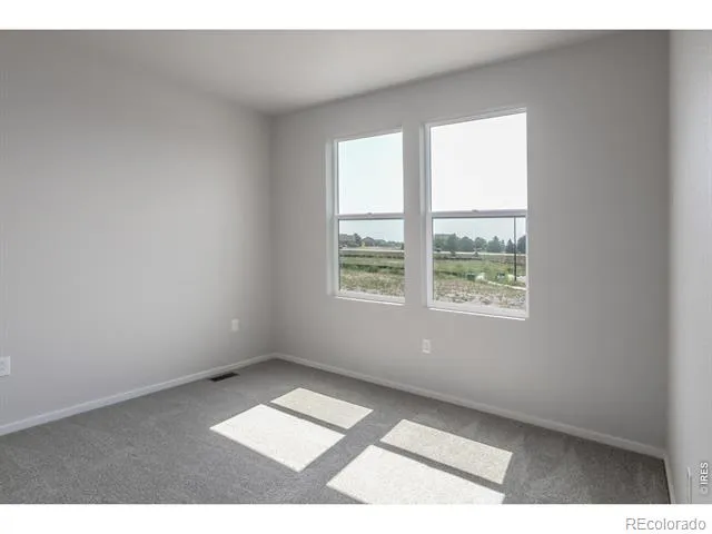 734 Trumpet Court Windsor, CO 80550
