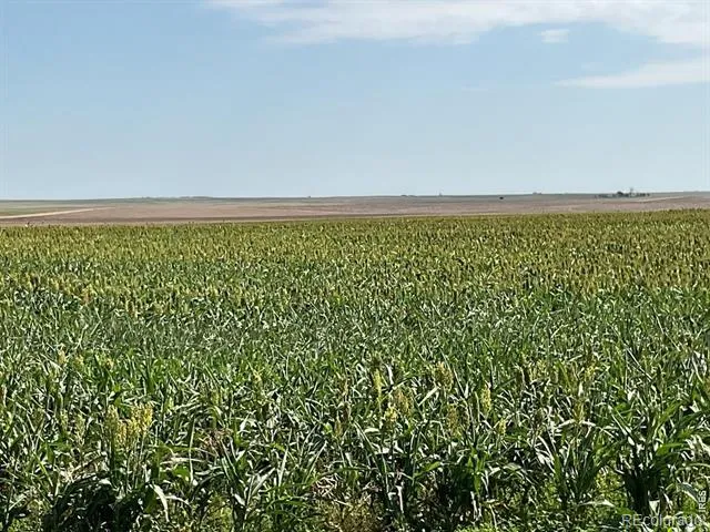 26 gg Road Snyder, CO 80750
