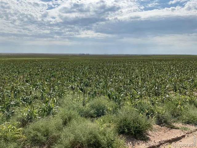 26 gg Road Snyder, CO 80750