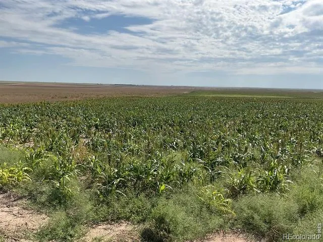 26 gg Road Snyder, CO 80750