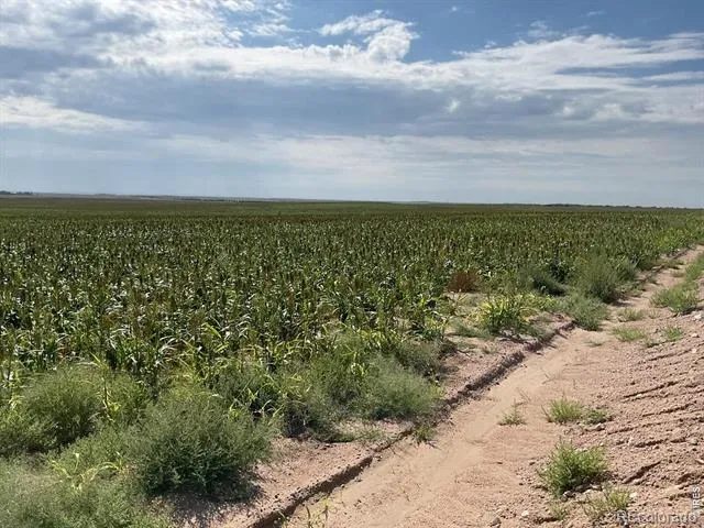26 gg Road Snyder, CO 80750