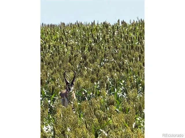 26 gg Road Snyder, CO 80750