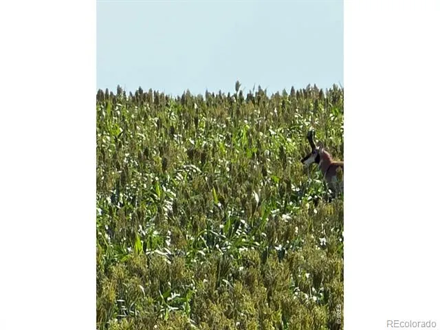 26 gg Road Snyder, CO 80750