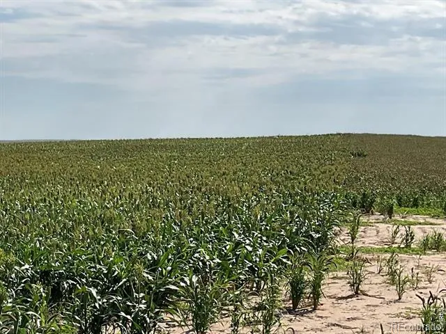 26 gg Road Snyder, CO 80750
