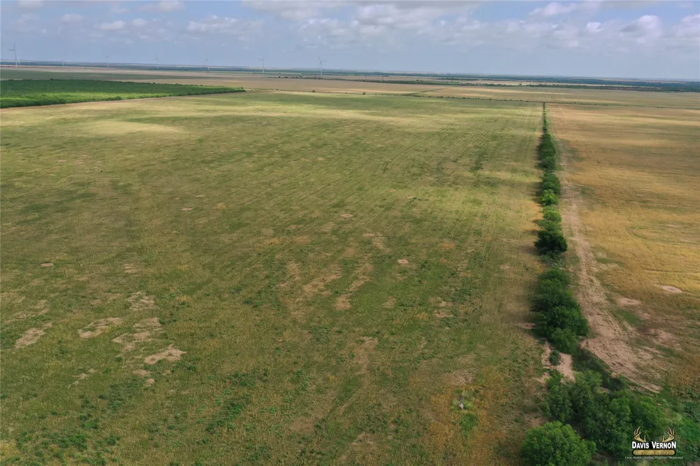 Fm 2877 Crowell, TX 79227