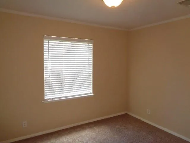 21414 Cherry Canyon Lane Tomball, TX 77375