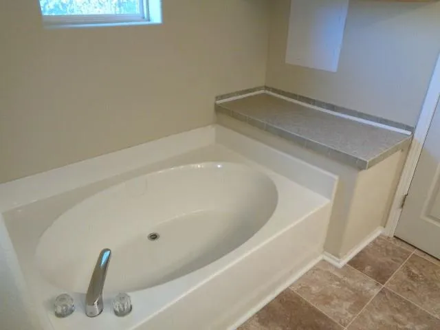 21414 Cherry Canyon Lane Tomball, TX 77375